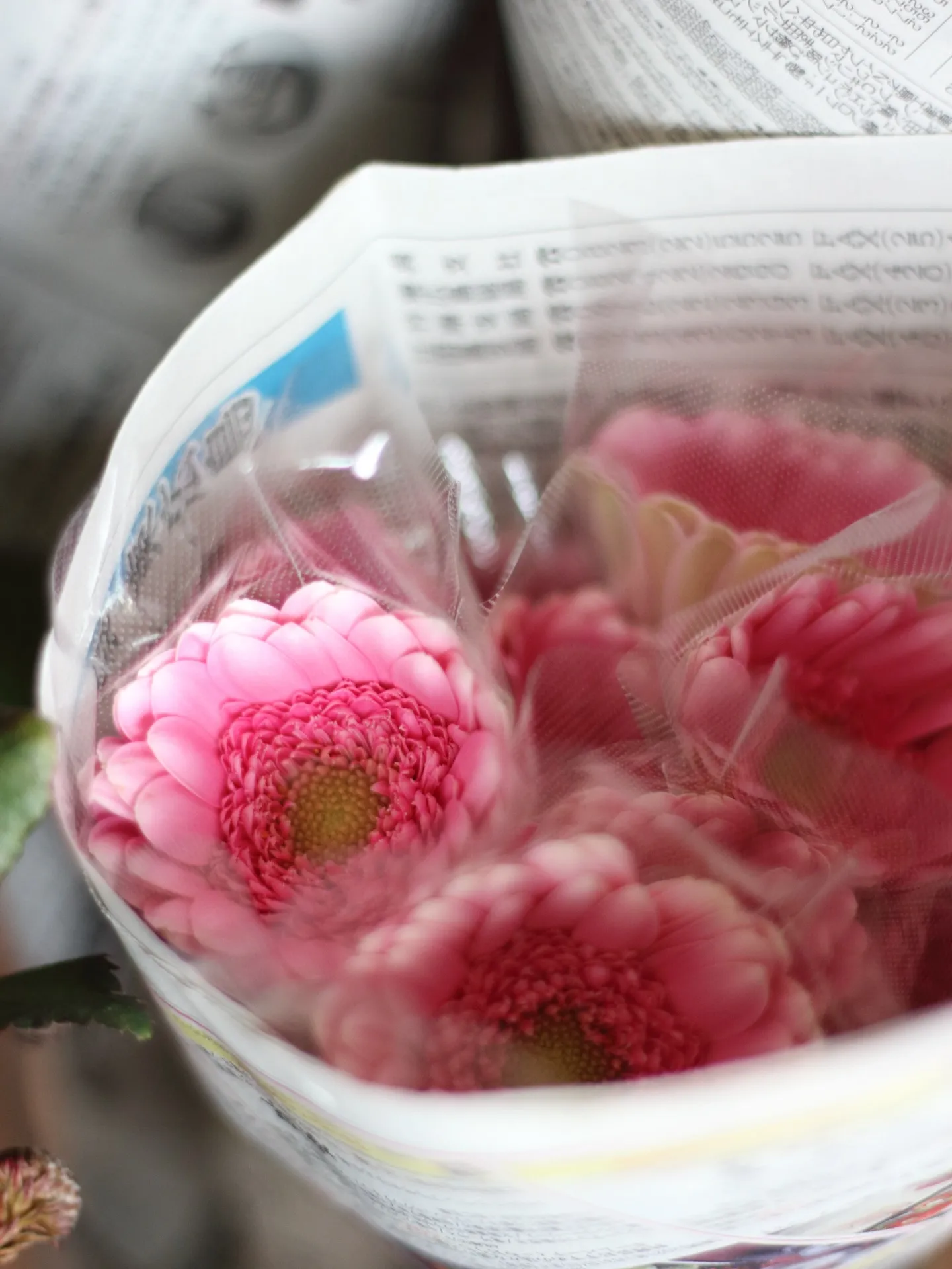 2025/12/01 本日の新入り