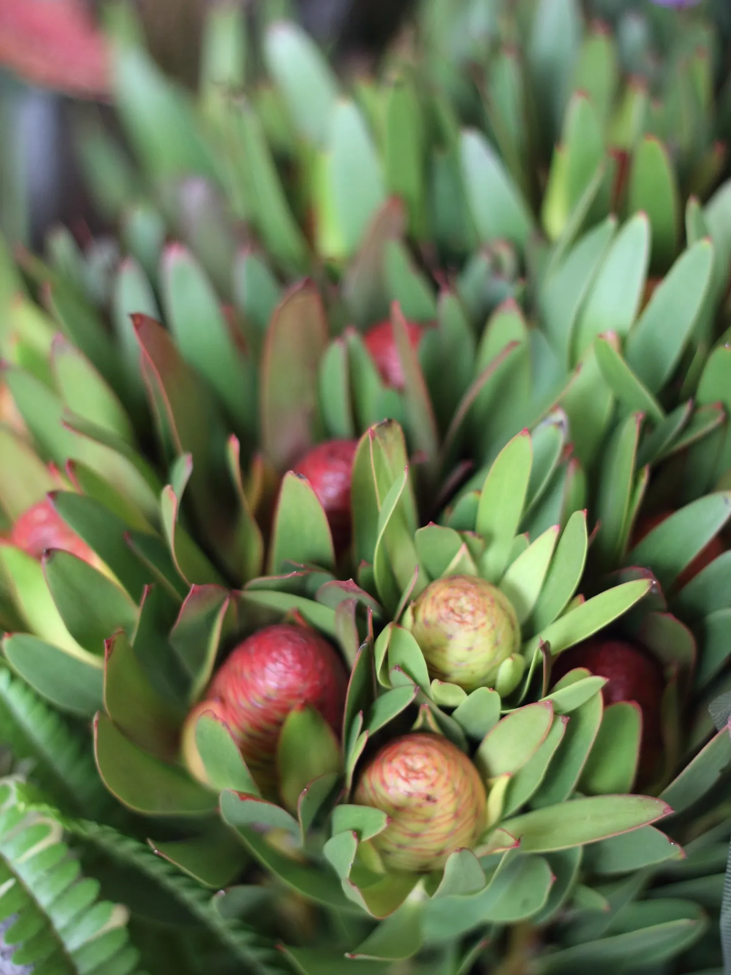 2025/12/01 本日の新入り