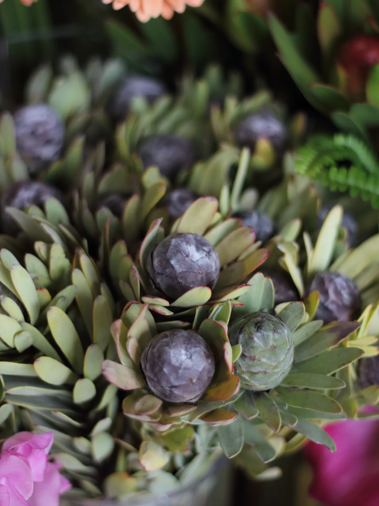 2025/12/01 本日の新入り