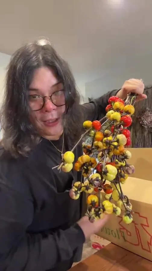 なう(2025/10/17 11:11:06)